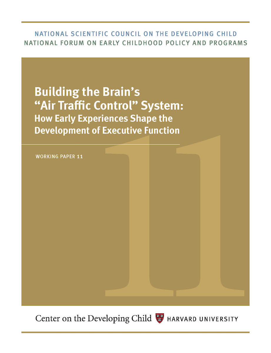 Building the Brain’s “Air Traffic Control” System: How Early Experiences Shape the Development of Executive Function 